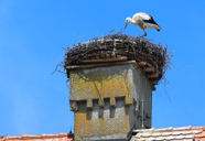 storch_obermarchtal-2